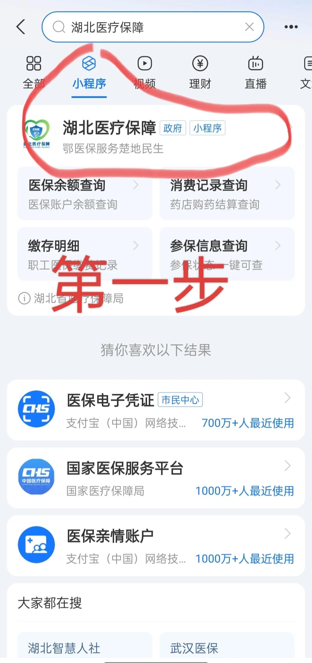 攀枝花医保网上怎么缴费(孩子居民医保网上怎么缴费)